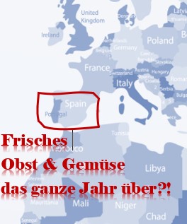 Teaserbild